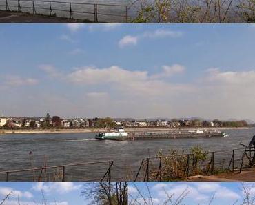 [Lieblingsorte in Bonn] Hofgarten, Rhein, Cafe Goldbraun, Frozen Joghurt, Altstadt