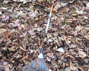 Ziemlich lauter Herbst