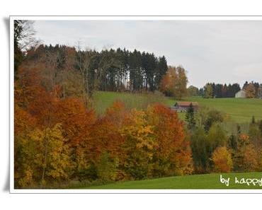Goldene Herbsttage....