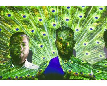 Videopremiere: Bombee – Clear Lines