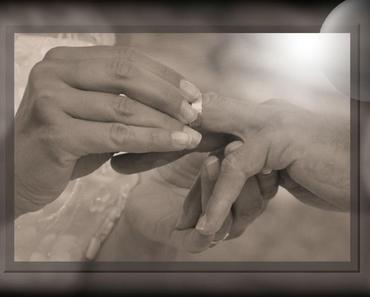wallpaper-1689754