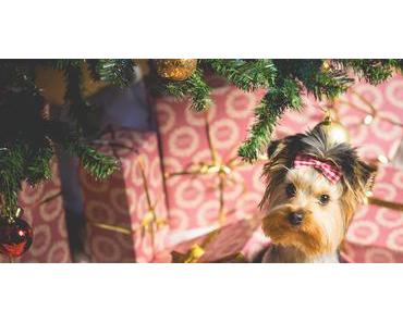 Geschenkideen für Männer