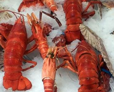 Kulinarischer Rückblick