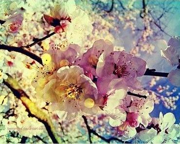 Kühlschrankmonologe - Wechselwarmes Bloggen