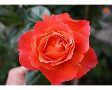 Wenn du denkst es geht nicht mehr.....