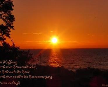 wallpaper-1689754