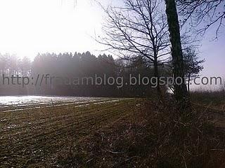 Info, warum es hier so ruhig ist