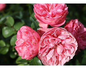 Suche Gott nicht im Jenseits, er begegnet Dir in jedem Menschen!