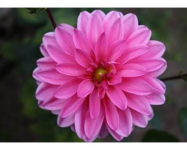 Besitz ist nicht Verwerfliches - es kommt nur darauf an, wofür Du ihn verwendest