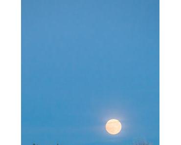 Die 12 Rauhnächte: dein besinnliches Orakel für das neue Jahr