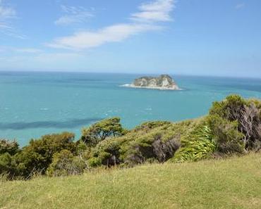 Einmal East Cape und zurück