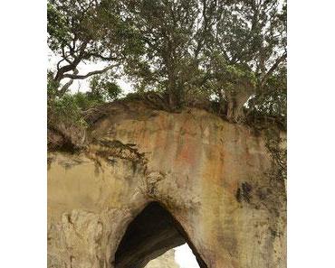 Coromandel entdecken - 3. Teil