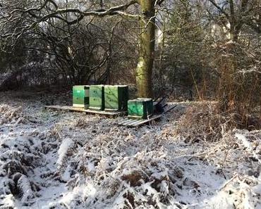 Winterwunderland auf der Bienenwiese