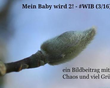 Mein Baby wird 2! – #WIB (3/16)