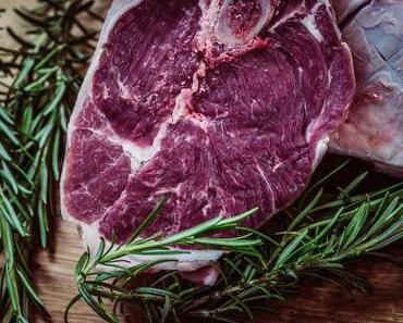 Low Carb – eine Kampfansage an Kohlehydrate