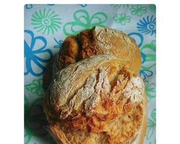 Liebt die ganze Familie