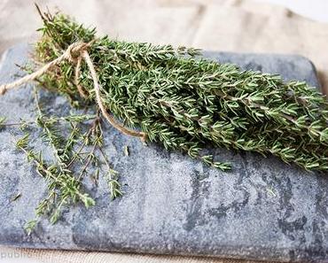 Thymian – Der Superstar des Kräutergartens