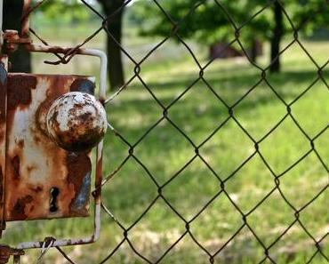 Unser Traum vom Haus #7