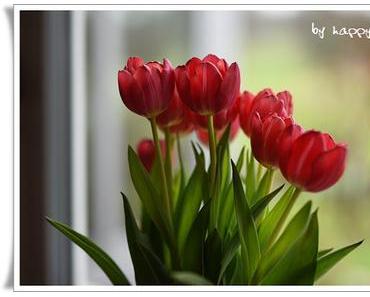 Frühlingshaftes Ei....