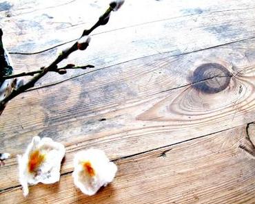 Filzblumen  kinderleicht in 3 Schritten herstellen