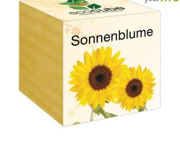 Umweltfreundliche Gastgeschenke