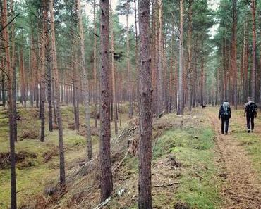 Auf dem Burgenwanderweg im Hohen Fläming – Tag 4