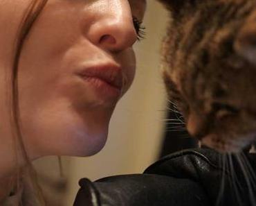 Die Liebe zur Katze