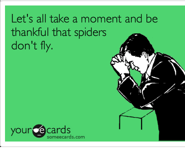 Spiders Don't Fly