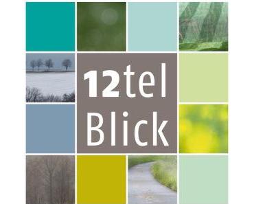 12tel-Blick im Februar 2016 – oder – Die Kunst den gleichen Ausschnitt zu finden