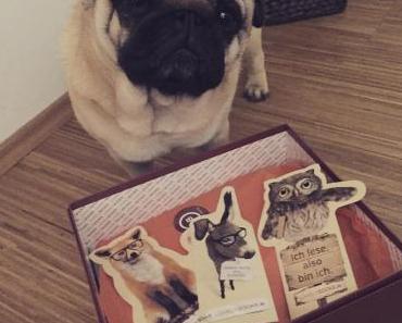 [Book Haul] Die LovelyBox ♥