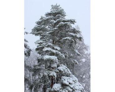 [Auslandssemester] Die erste Zeit