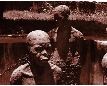 Sierra Leone – Umweltschützer gehören nicht in Haft! (Petition)