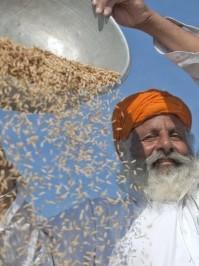 Fairtrade Extrakte jetzt auch immer mehr in Kosmetika