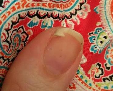 Wochenrückblick 1/16 & Instabilder