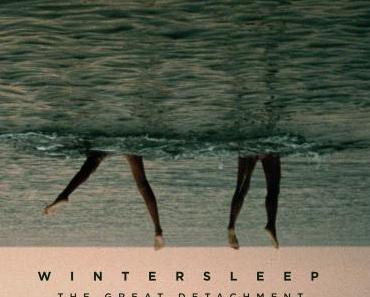 Rezension: Wintersleep – The Great Detachment (Dine Alone Music, 2016)