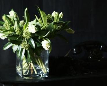 Flowers | Was hat eigentlich der Papagei damit zu tun?