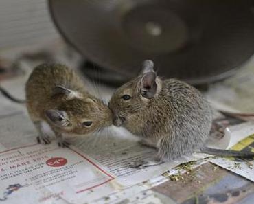 Wieso ich derzeit nicht viel zum Lesen komme