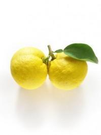Yuzu