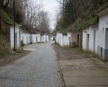 Kellergassenführung und Vino Versum Besuch in Poysdorf