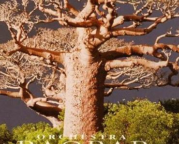 Afro-Klassiker: Orchestra Baobab – Fabriqué au Sénégal // Mixtape
