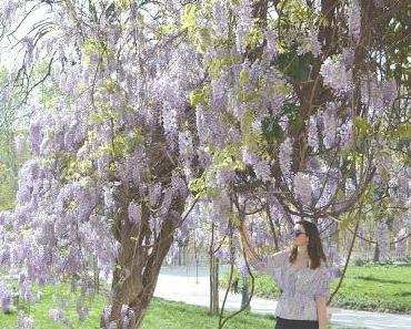 Fashion - Rom Outfits