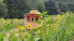 Crowdfunding für energieautarkes Tiny House im Wildniskulturhof