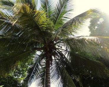 #2 Von Kaffeeröstereien und ganz viel ZeitWenn man dann m...