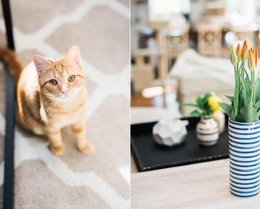 Zeit wird`s (mit dem Beginn der Hochzeitsplanung)