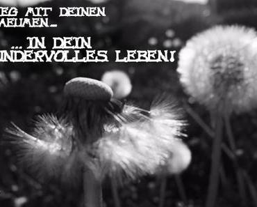 Flieg mit Deinen Träumen …