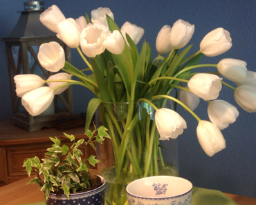 Von Tulpen, Freundin und Himmelblau – oder – Tage zum Freuen