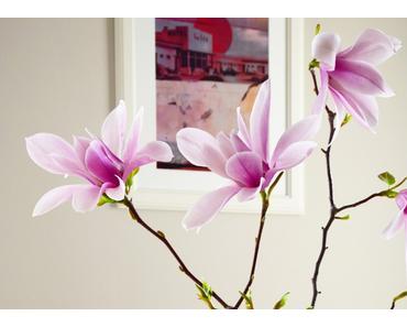 Magnolie ... Magnolia