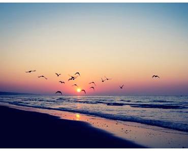 Summer Inspirations (Blusen) ♥