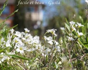 Cam Underfoot #18: Steinkraut-Teppich