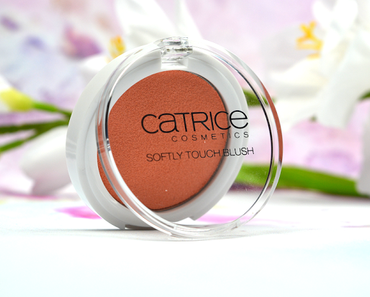 [NEU & LE] Review, Swatches & Tragebilder: Catrice Net Works LE Softly Touch Blush Nuance 01 Mashed Peach